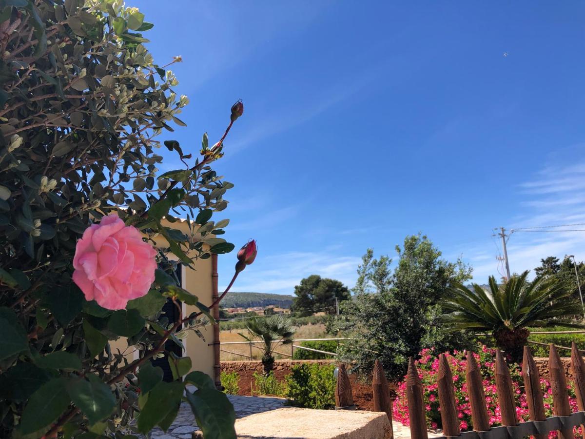 La villa dei girasoli Custonaci Esterno foto